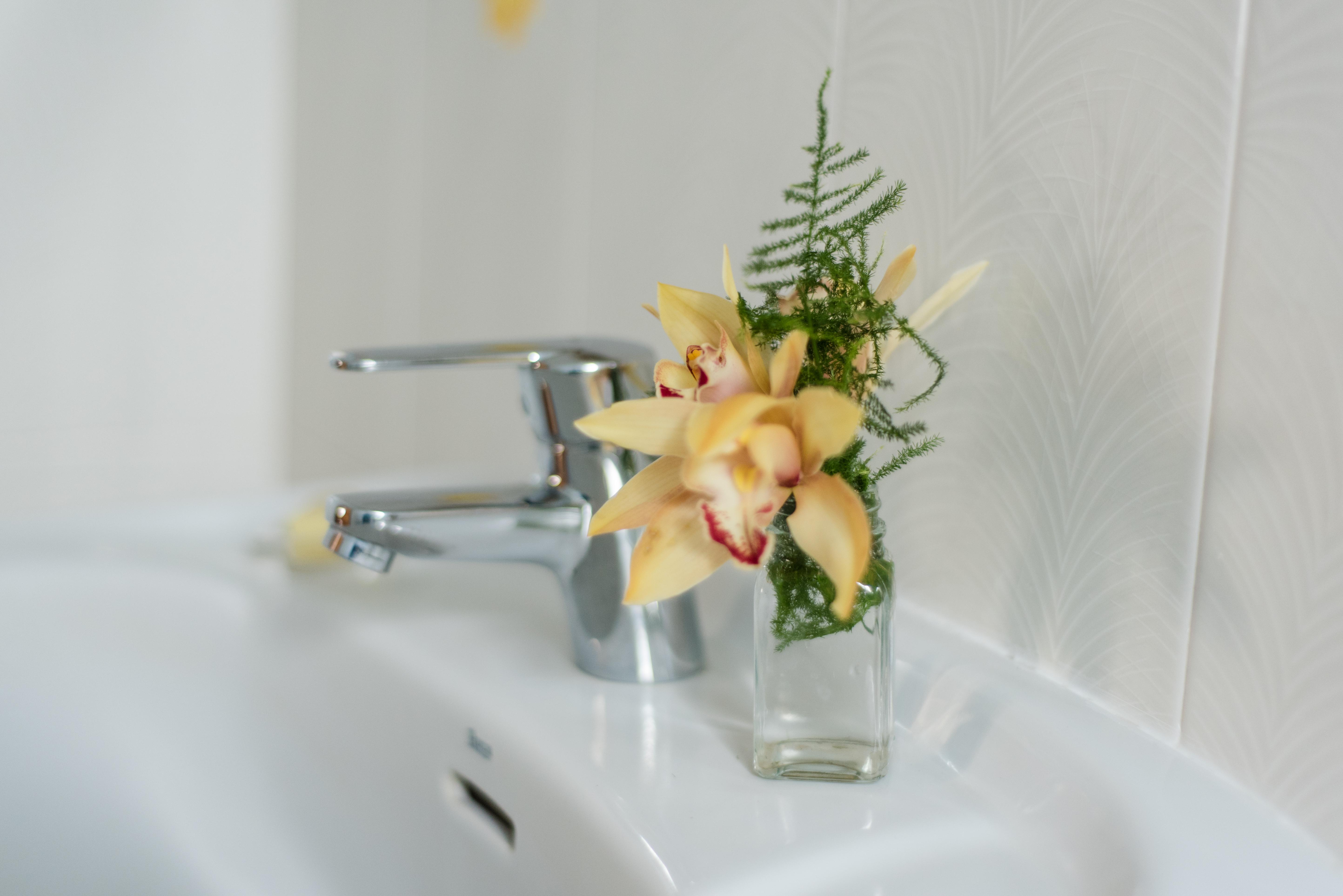 Apartamentos Mayoysa Breña Baja Dış mekan fotoğraf